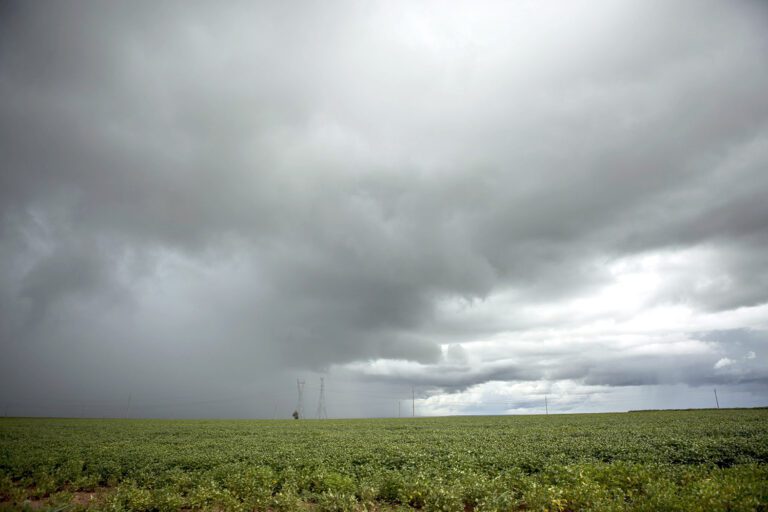 Segundo agência, seca fica mais branda no Centro-Oeste